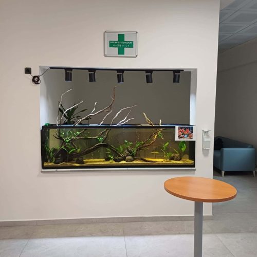 Ofis Uygulamaları